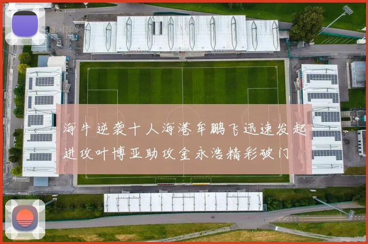 海牛逆袭十人海港牟鹏飞迅速发起进攻叶博亚助攻金永浩精彩破门